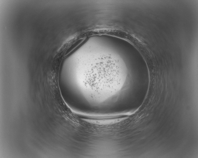 X0000056351351200509091545