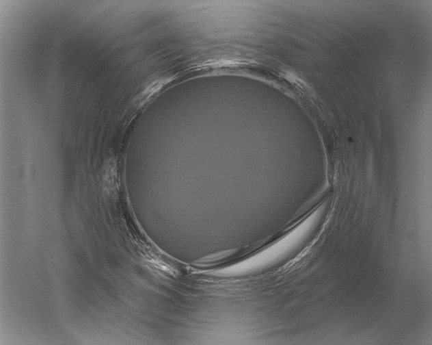 X0000056351353200509091545