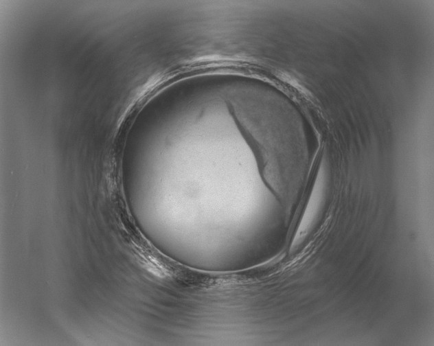 X0000056351357200509091545