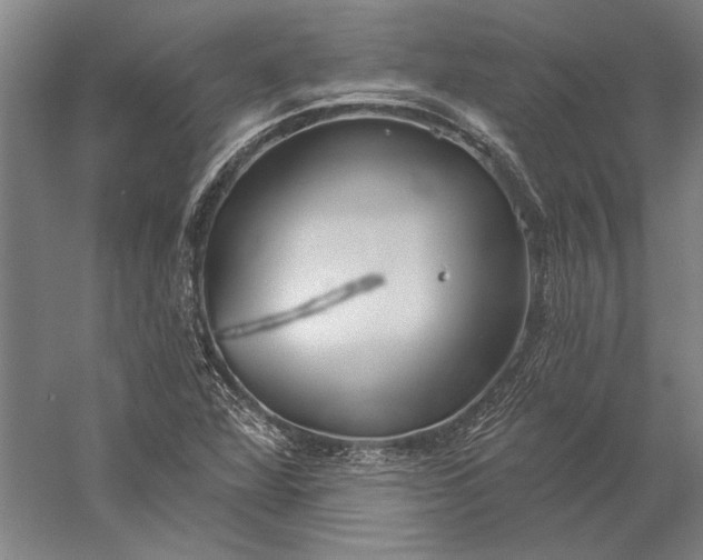 X0000056351360200509091545