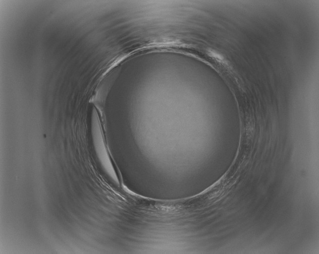 X0000056351361200509091545