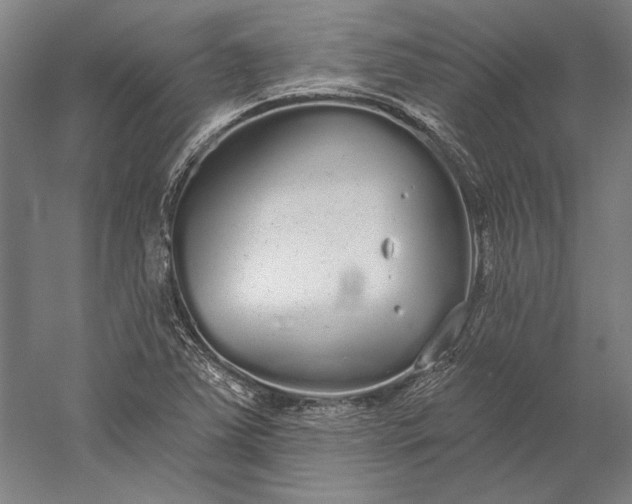 X0000056351363200509091545