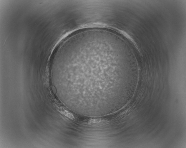 X0000056351364200509091545