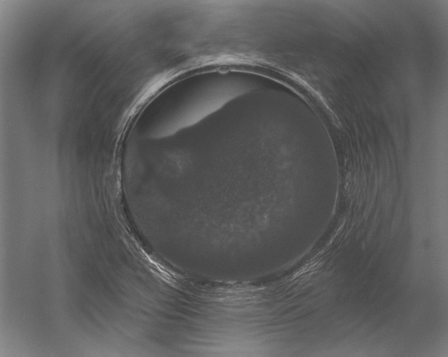 X0000056351367200509091545