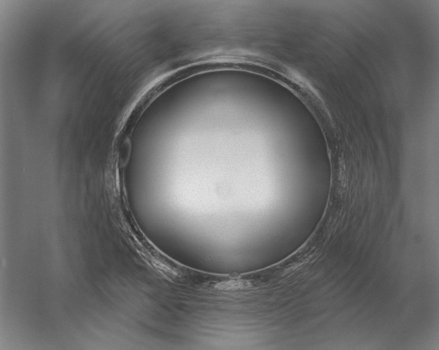 X0000056351368200509091545