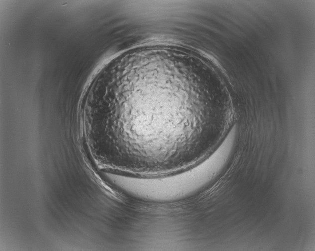 X0000056351371200509091545