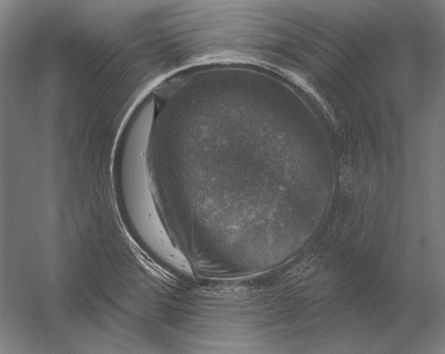 X0000056351372200509091545