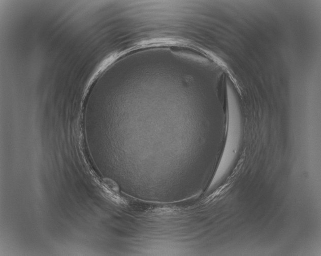 X0000056351373200509091545