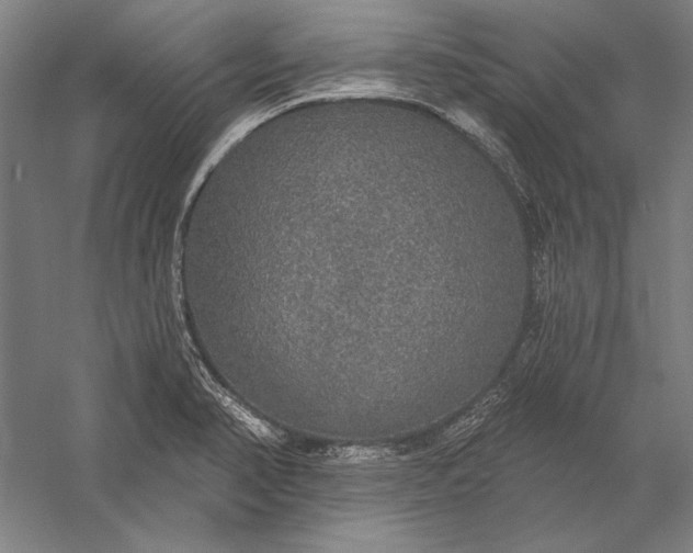 X0000056351374200509091545