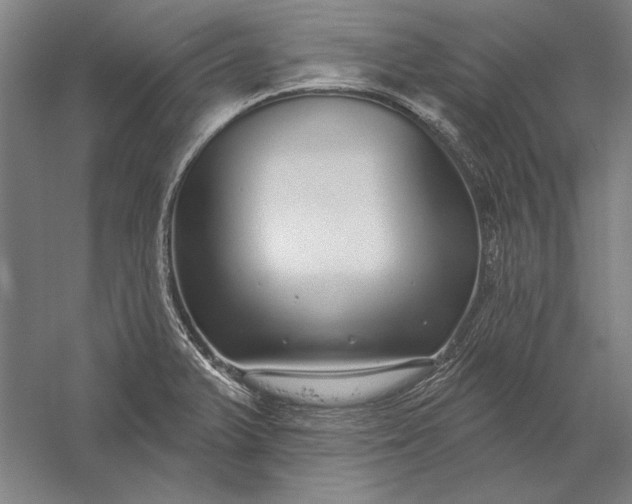 X0000056351375200509091545