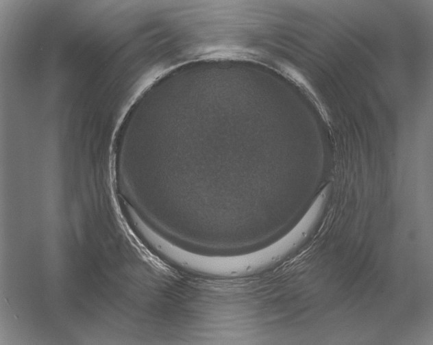 X0000056351376200509091545