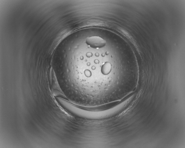 X0000056351377200509091545