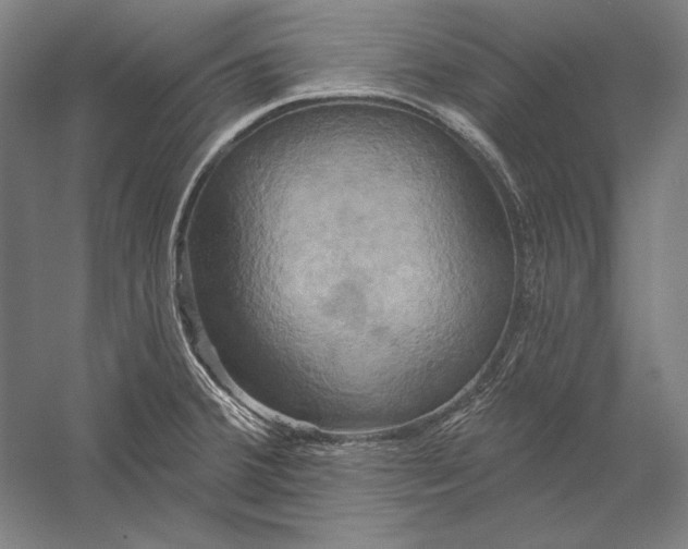 X0000056351380200509091545