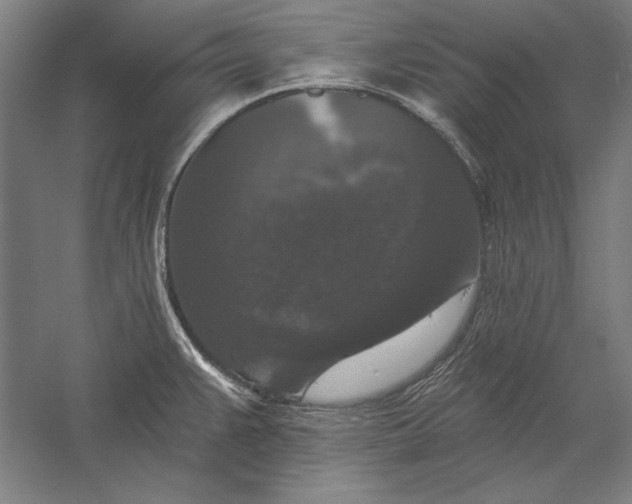 X0000056351383200509091545