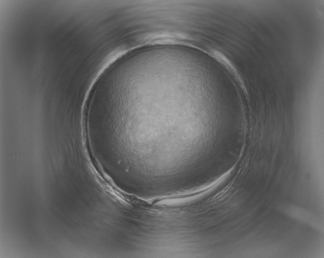 X0000056351384200509091545