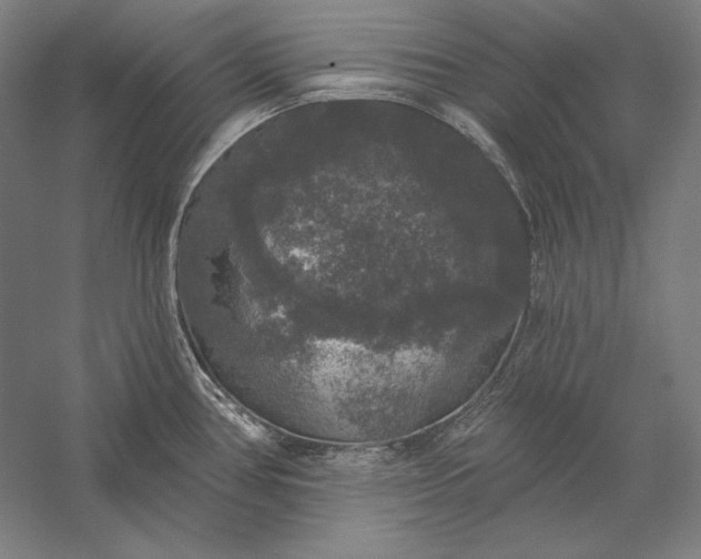 X0000056351386200509091545