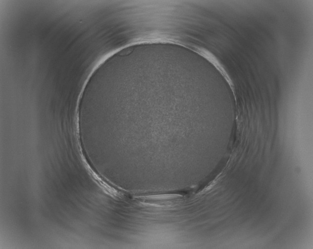 X0000056351388200509091545