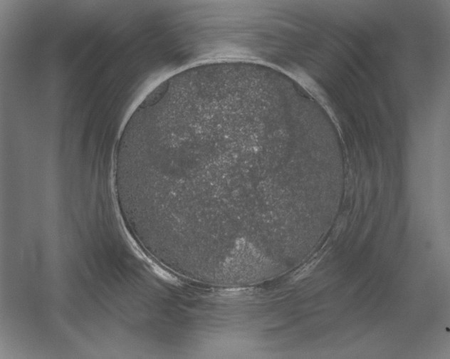 X0000056351390200509091545