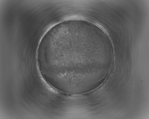 X0000056351392200509091545