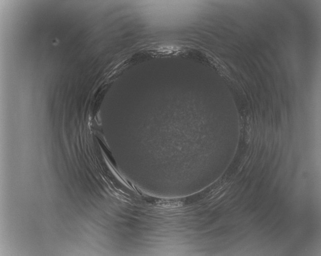 X0000056351394200509091544