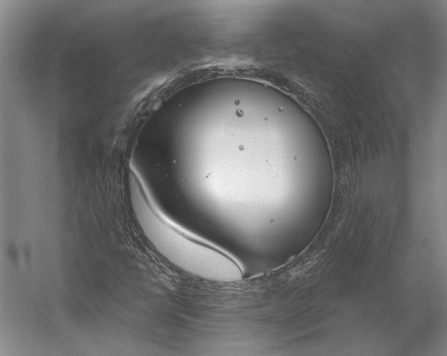 X0000056351398200509091544