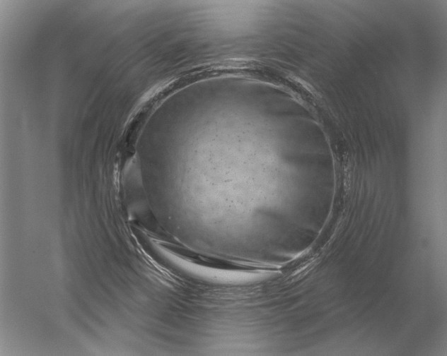 X0000056351402200509091544