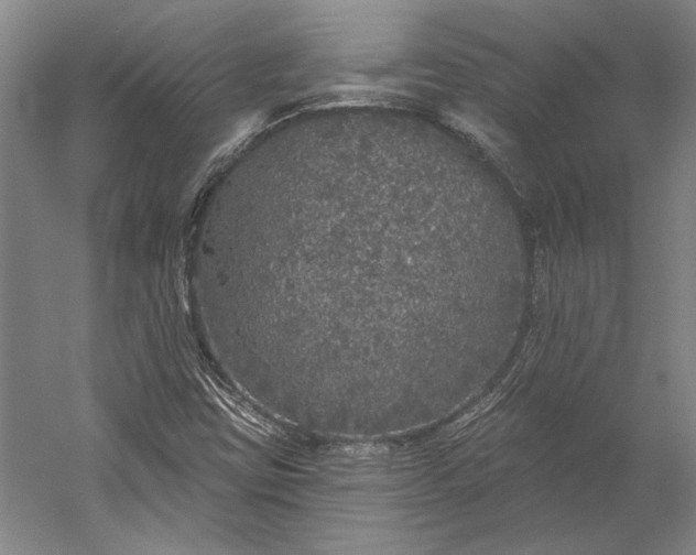 X0000056351403200509091544