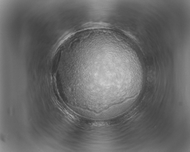 X0000056351407200509091544