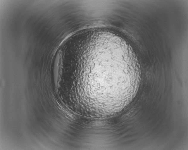 X0000056351409200509091544