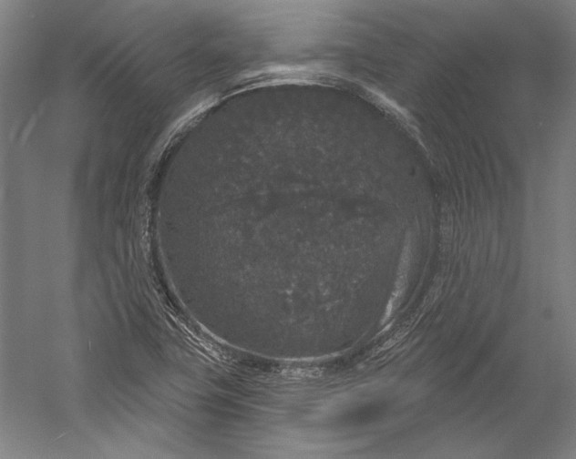 X0000056351411200509091544