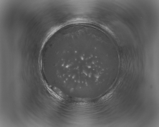 X0000056351413200509091544