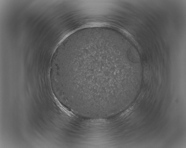 X0000056351417200509091544