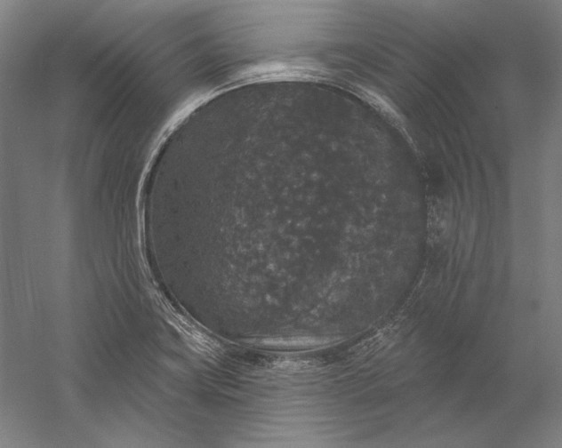 X0000056351419200509091544