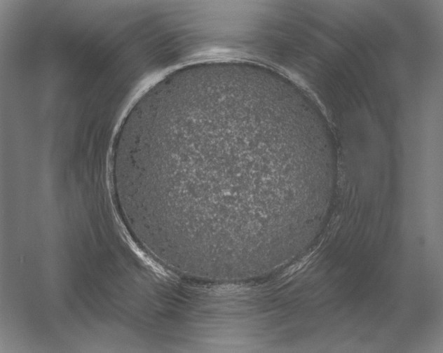 X0000056351421200509091544