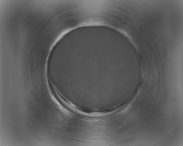 X0000056351422200509091544