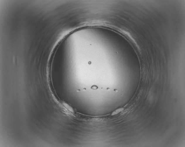 X0000056351424200509091544