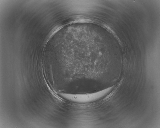 X0000056351425200509091544