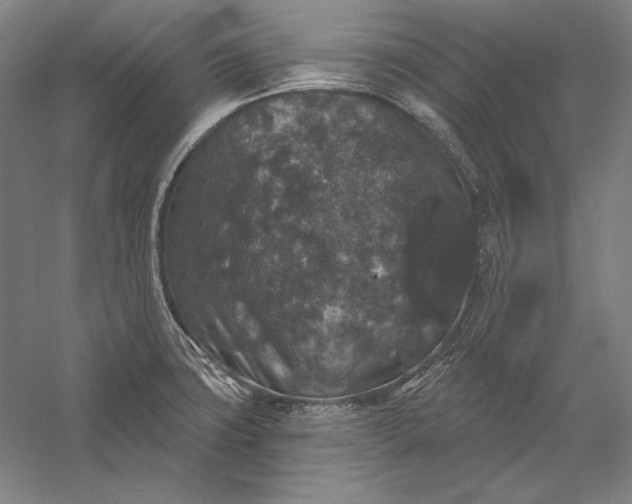 X0000056351427200509091544