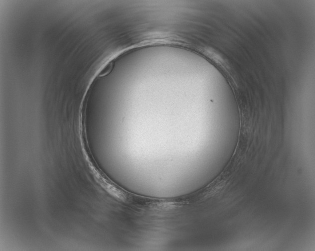 X0000056351431200509091545