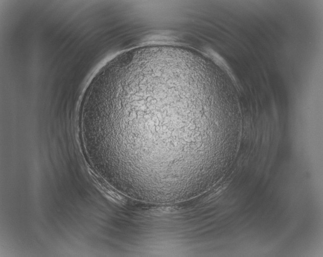 X0000056351435200509091545