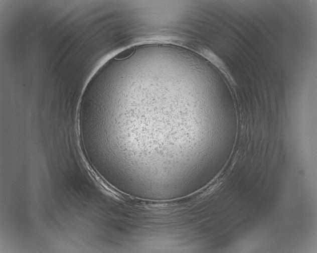 X0000056351436200509091545