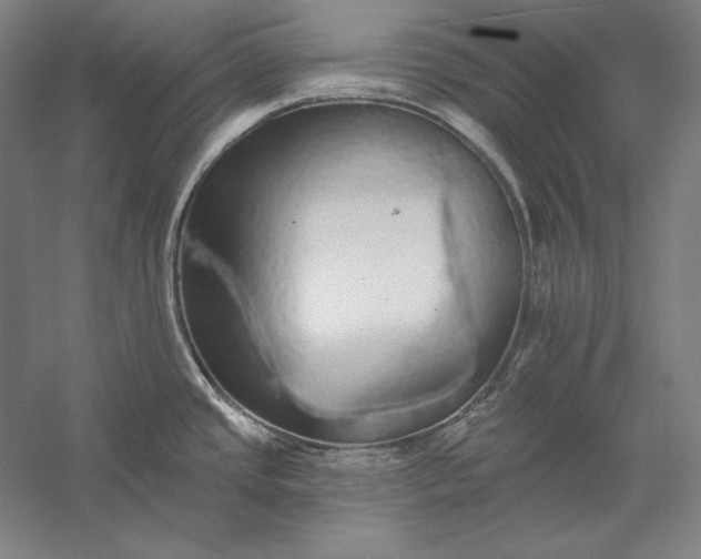 X0000056351437200509091545