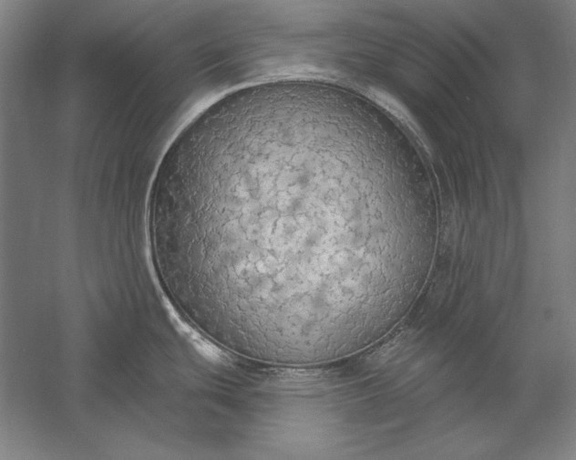 X0000056351439200509091545