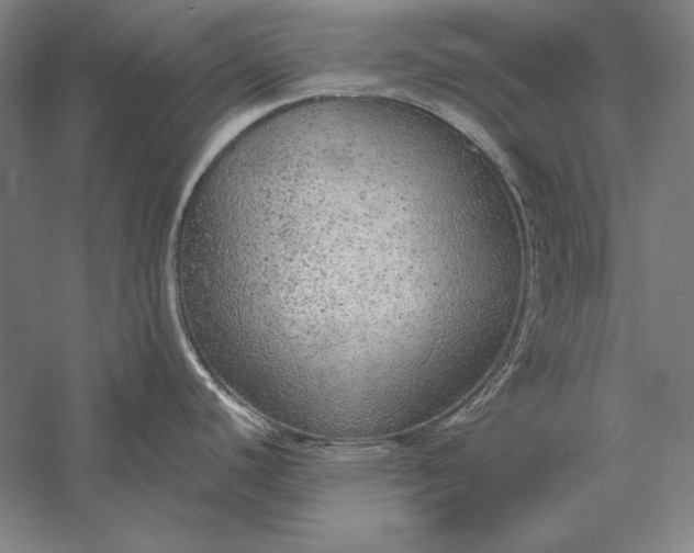 X0000056351440200509091545