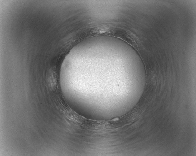 X0000056351442200509091544