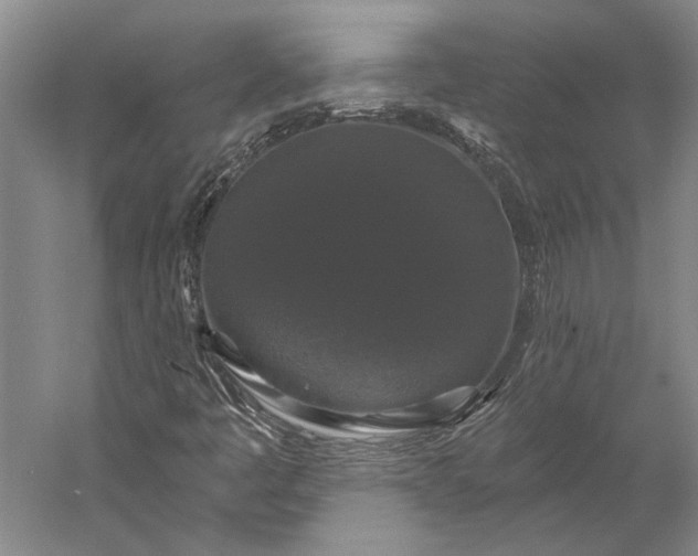 X0000056351445200509091544