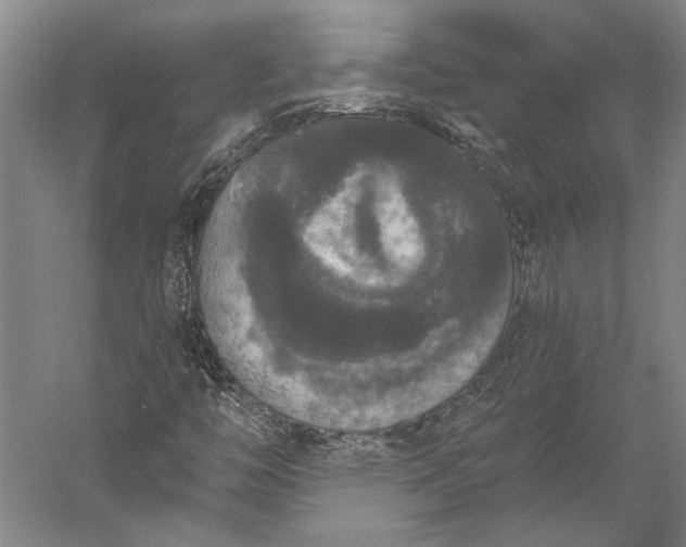 X0000056351446200509091544