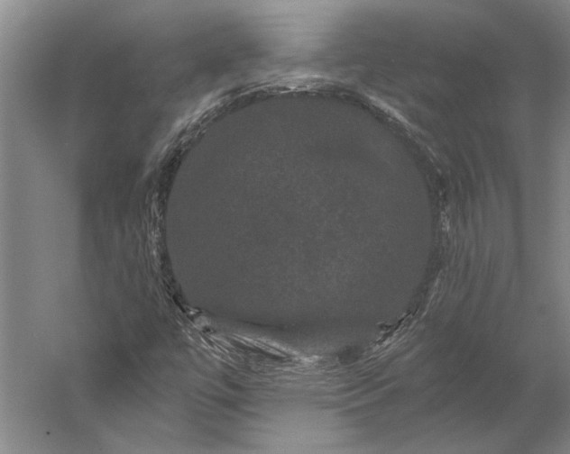 X0000056351447200509091544