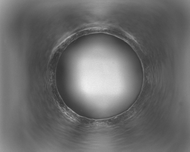 X0000056351448200509091544