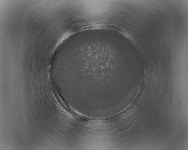 X0000056351450200509091544